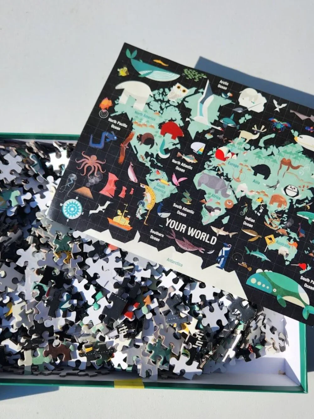 Mudpuppy 1000 Piece Your World Puzzle Map Atlas Inspired Charley Harper Inspired